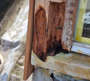 Werkzaamheden houtrot herstel
